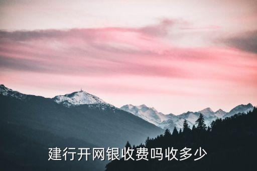 建行开网银收费吗收多少