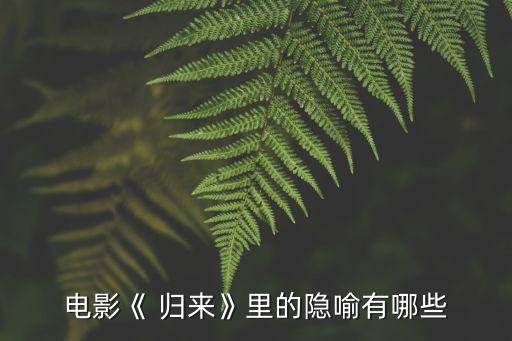 电影《 归来》里的隐喻有哪些