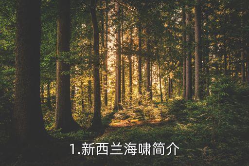 1.新西兰海啸简介