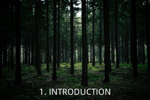 1. INTRODUCTION