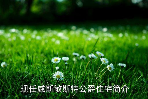  现任威斯敏斯特公爵住宅简介