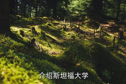  介绍斯坦福大学