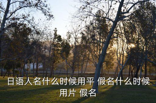 日语人名什么时候用平 假名什么时候用片 假名