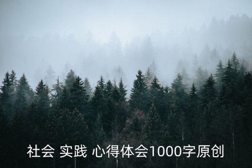 社会 实践 心得体会1000字原创