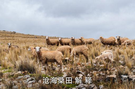 沧海桑田 解 释