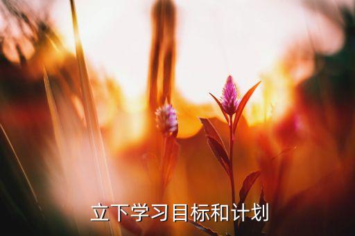  立下学习目标和计划