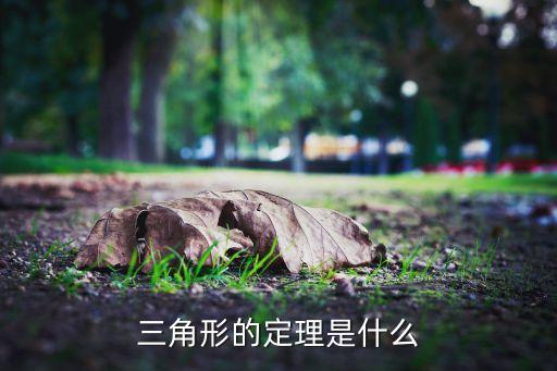 三角形的定理是什么