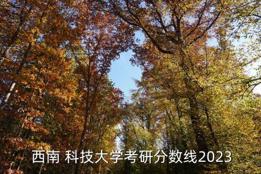  西南 科技大学考研分数线2023