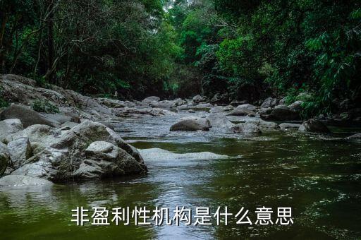  非盈利性机构是什么意思