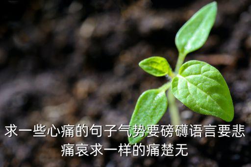 求一些心痛的句子气势要磅礴语言要悲痛哀求一样的痛楚无