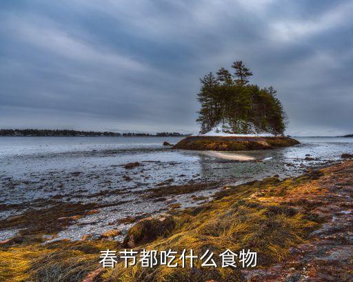  春节都吃什么食物