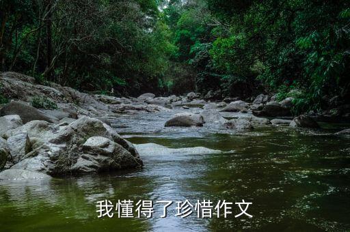 我懂得了珍惜作文