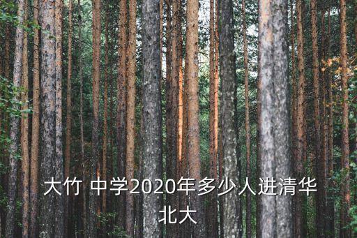  大竹 中学2020年多少人进清华北大