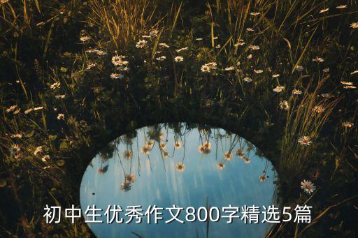 初中生优秀作文800字精选5篇