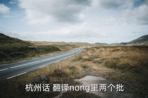  杭州话 翻译nong里两个批