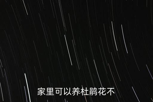 家里可以养杜鹃花不