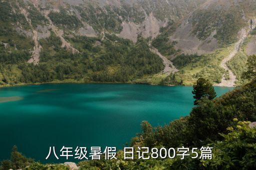  八年级暑假 日记800字5篇