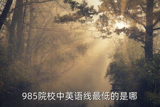 985院校中英语线最低的是哪