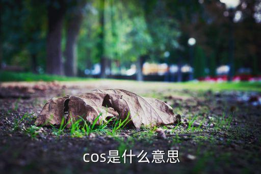  cos是什么意思