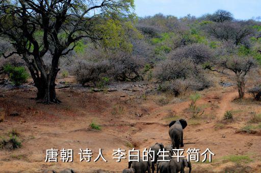 唐朝 诗人 李白的生平简介