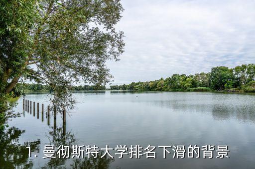 1. 曼彻斯特大学排名下滑的背景