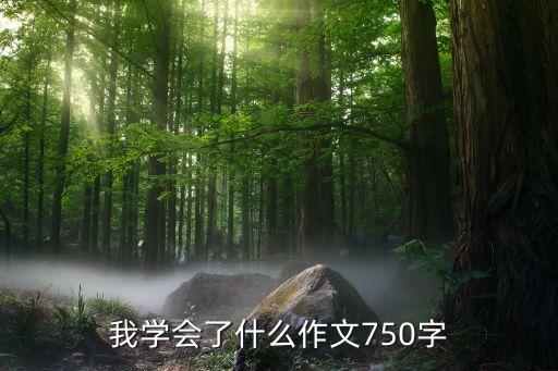 我学会了什么作文750字