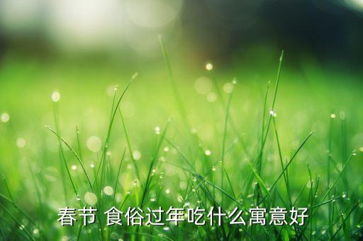  春节 食俗过年吃什么寓意好